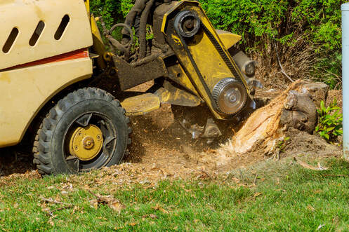 stump grinding and root removal